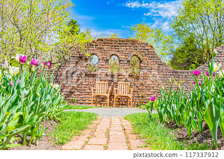 上野農場的春天景色 上野農場的春天景色 117337912