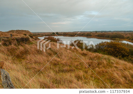 Terschelling island in the Wadden Sea - Holland or the Netherlands Terschelling island in the Wadden Sea - Holland or the Netherlands 117337934