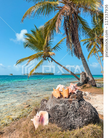 San Blas islands in Panama, tropical beach San Blas islands in Panama, tropical beach 117337936