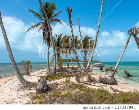 San Blas islands in Panama, tropical beach San Blas islands in Panama, tropical beach 117337943