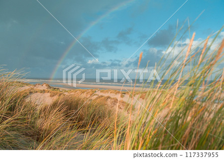 Terschelling island in the Wadden Sea - Holland or the Netherlands Terschelling island in the Wadden Sea - Holland or the Netherlands 117337955