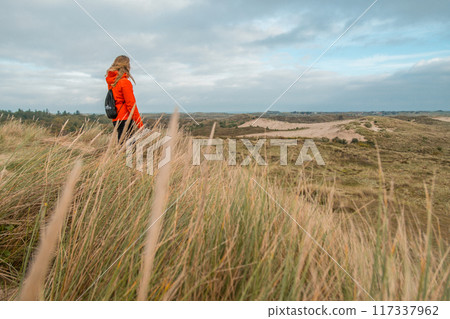 Terschelling island in the Wadden Sea - Holland or the Netherlands 117337962