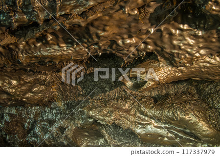 Lava tube in Reunion, France 117337979