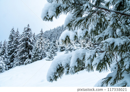 Meribel - ski domain in the French alps of France Meribel - ski domain in the French alps of France 117338021