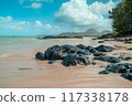 Ile aux Cerfs in Mauritius or Ile Maurice in Africa 117338178