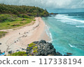 Gris gris beach in Mauritius 117338194