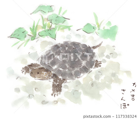 草蛉龜在花園裡行走的水彩插圖 117338324