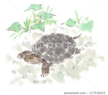 草蛉龜在花園裡行走的水彩插圖 117338325