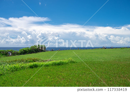 View of Manzamo, Okinawa (right after entering the entrance) 117338419