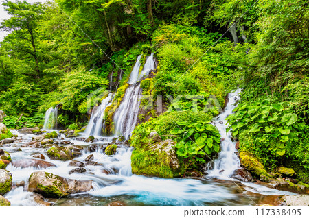 清里高原 鳥龍瀑布 清里高原 鳥龍瀑布 117338495