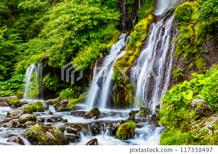 Toryu Falls, Kiyosato Highlands Toryu Falls, Kiyosato Highlands 117338497