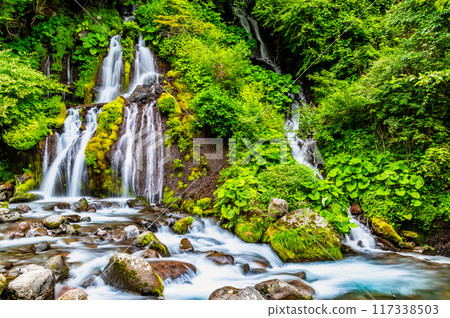 清里高原 鳥龍瀑布 117338503