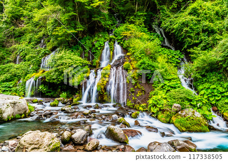 Toryu Falls, Kiyosato Highlands 117338505