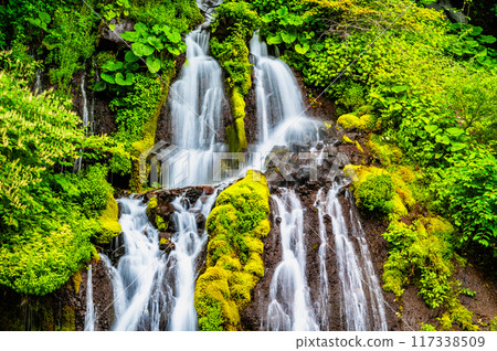 Toryu Falls, Kiyosato Highlands 117338509