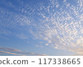 Evening sky and clouds 117338665