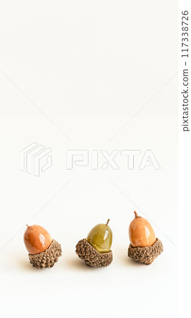 Acorns on a white background Simple autumn background material 117338726