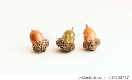 Acorns on a white background Simple autumn background material 117338727