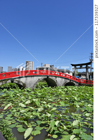 Aoi Aso Shrine and Misogi Bridge Aoi Aso Shrine and Misogi Bridge 117339327