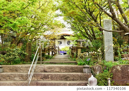 大和市：常泉寺的山門、參道、新綠 117340106
