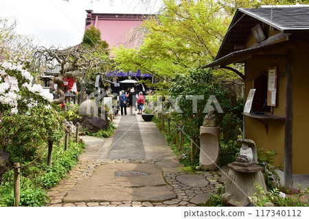大和市:常泉寺院內,綠意盎然,杜鵑花盛開 大和市:常泉寺院內,綠意盎然,杜鵑花盛開 117340112