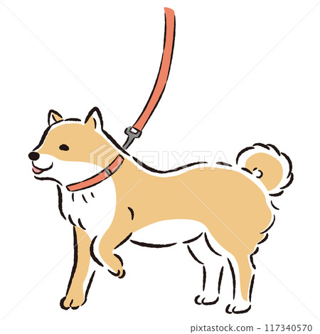一隻柴犬散步的手繪插圖 117340570