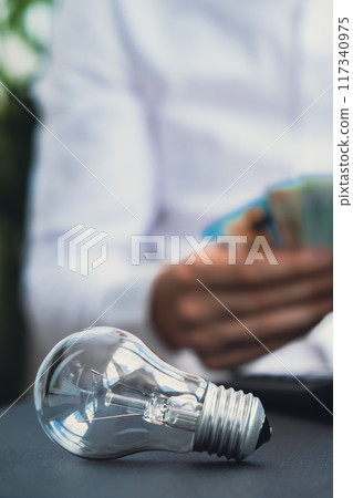 Electric light bulb. Man hands counting expenses bills on electricity banknotes of euro cash accounting on calculator. Close up of hands unrecognizable Businessman. High prices for energy. Save up Electric light bulb. Man hands counting expenses bills on electricity banknotes of euro cash accounting on calculator. Close up of hands unrecognizable Businessman. High prices for energy. Save up 117340975