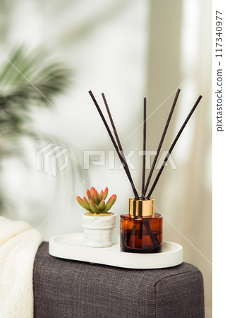 Aroma diffuser bottle with sticks in living room Aroma diffuser bottle with sticks in living room 117340977