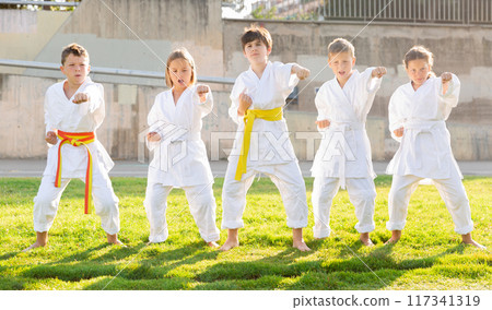 Tweenagers mastering karate moves on green lawn in sports school Tweenagers mastering karate moves on green lawn in sports school 117341319