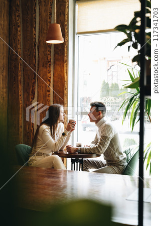 Casual Business Meeting Between Colleagues at a Cozy Cafe During Daytime 117341703