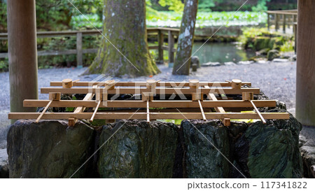 Chozuya (purification fountain) at the Inner Shrine of Ise Grand Shrine 117341822