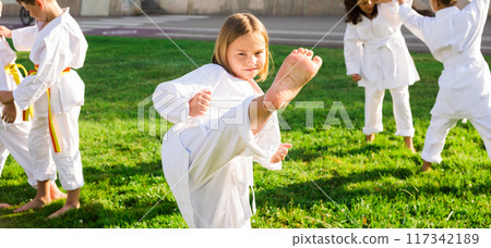 Preteen girl performing high kick during group taekwondo class Preteen girl performing high kick during group taekwondo class 117342189