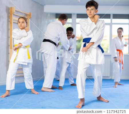 Group of children train karate techniques 117342725