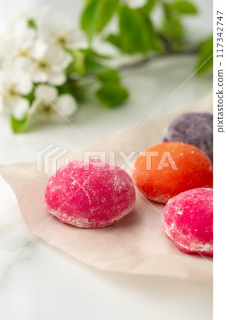 Multi-colored Japanese cakes Mochi in a white plate 117342747