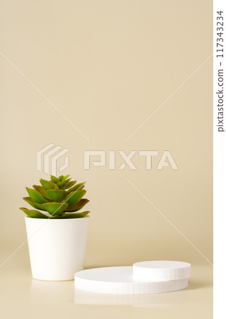 White Succulent Plant on White Circular Pedestals Against a Beige Background White Succulent Plant on White Circular Pedestals Against a Beige Background 117343234