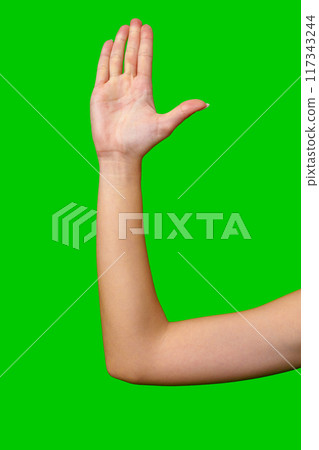 Female Hand and Forearm Raised in Front of Green Screen Background 117343244