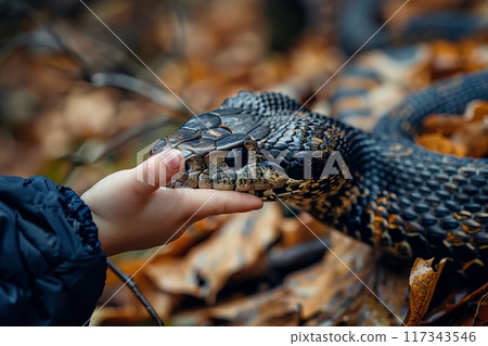 Man's Feet and Camouflaged Snake in Wet Environment Man's Feet and Camouflaged Snake in Wet Environment 117343546