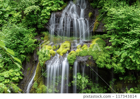 Toryu Falls in the Kawamata River Valley 117343814