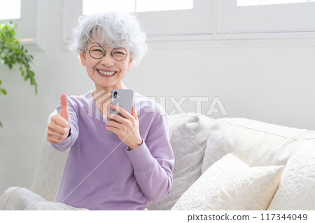Senior woman holding a smartphone 117344049