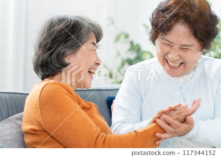 高級女人微笑著聊天 117344152