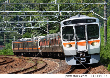 [JR東海]315系+313系（東海道線：金谷～島田） 117344164