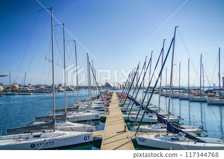 Landscape of Qingdao 117344768