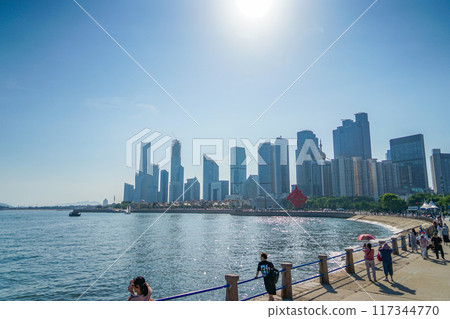 Landscape of Qingdao Landscape of Qingdao 117344770