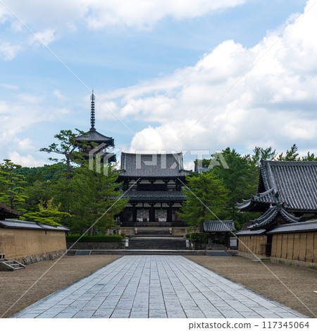 [法隆寺] 從南門看法隆寺的五層塔和中門 117345064