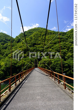 橫跨天瀨溪谷群山的橋樑 橫跨天瀨溪谷群山的橋樑 117345162