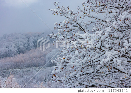 Shiokari Pass covered in snow Shiokari Pass covered in snow 117345341