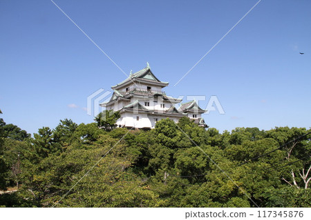 A refreshing summer morning at Wakayama Castle 117345876