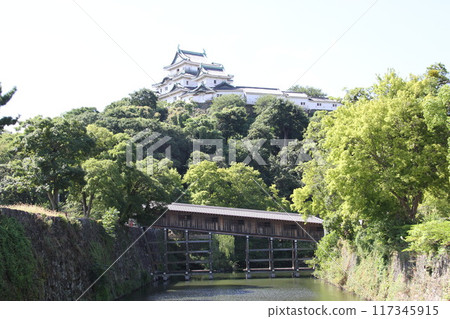 和歌山城清爽的夏日早晨 117345915