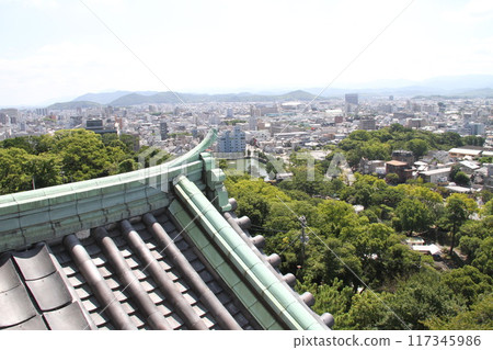 和歌山城清爽的夏日早晨 117345986
