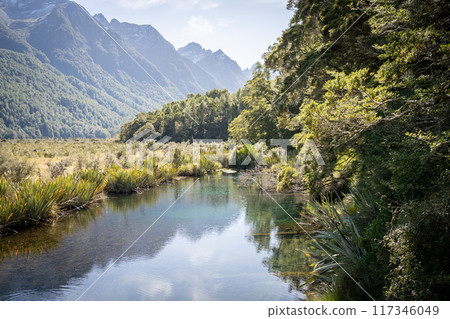 Beautiful crystal clear lake in exotic forest with mountains in backdrop, Fiordland, New Zealand 117346049