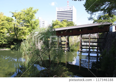 和歌山城西之丸花園的夏日早晨 和歌山城西之丸花園的夏日早晨 117346188